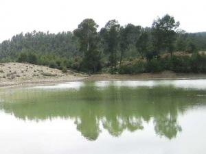 M'sara Khenchela,Algerie,tourisme,nature