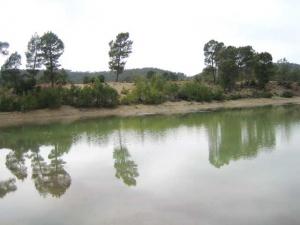 M'sara Khenchela,Algerie,tourisme,nature