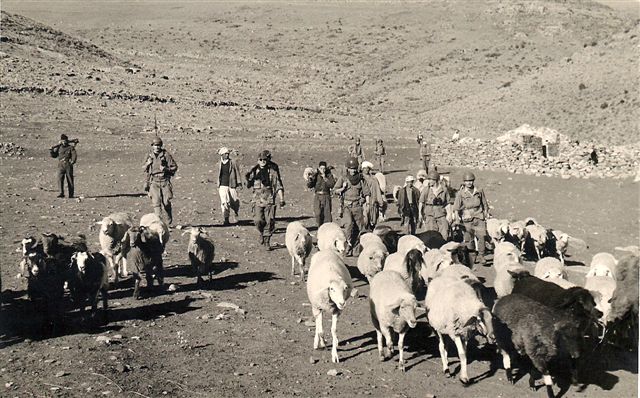 1961 Ratissage en zone interdite à Taouzient Khenchela