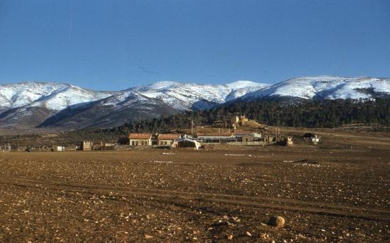 Bouhmama  en plein hiver la neige couvre le djebel Chélia