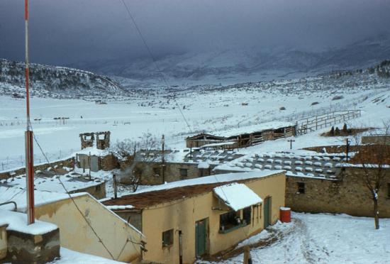 L'hiver au djebel Chélia est très dure pour tout le monde