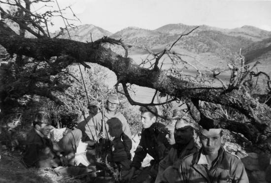 En chouff (regarder) dans la plaine de Tamza Khenchela
