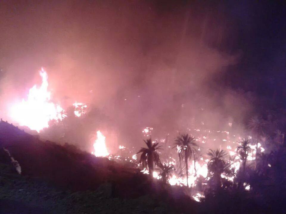 كافح سكان بني عباس و اعوان الحماية المدنية لانقاذ النخيل