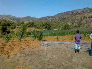 SIDI AMAR OUKNIAA  OULED AISSA  ZATIMA