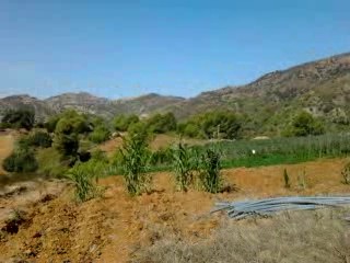 SIDI AMAR OUKNIAA  OULED AISSA