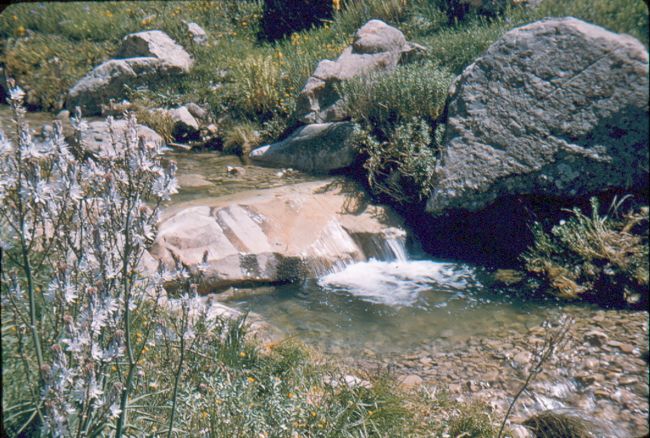 bouhmama Gergovie 0069