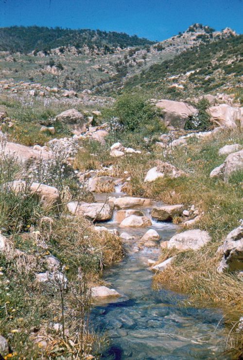 bouhmama Gergovie 0076