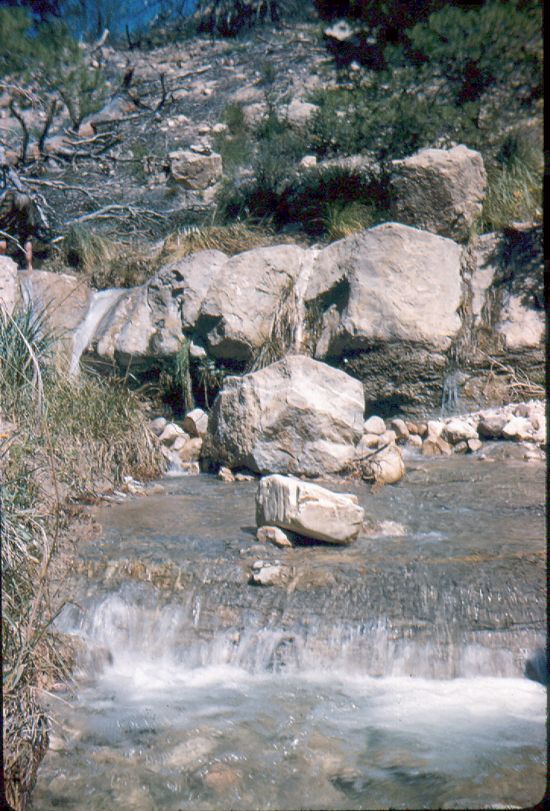 bouhmama Gergovie 0156