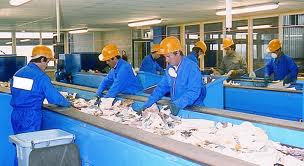 Deux chaînes de tri sélectif pour donner une «seconde vie» aux déchets: Le CET du groupement d'Oran recrute