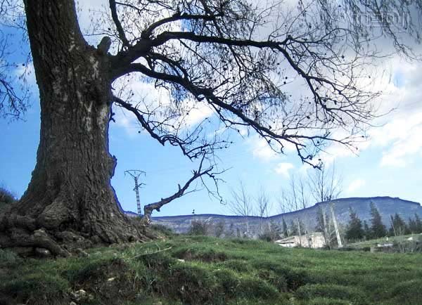 Hammam Essalihine El hamma Khenchela