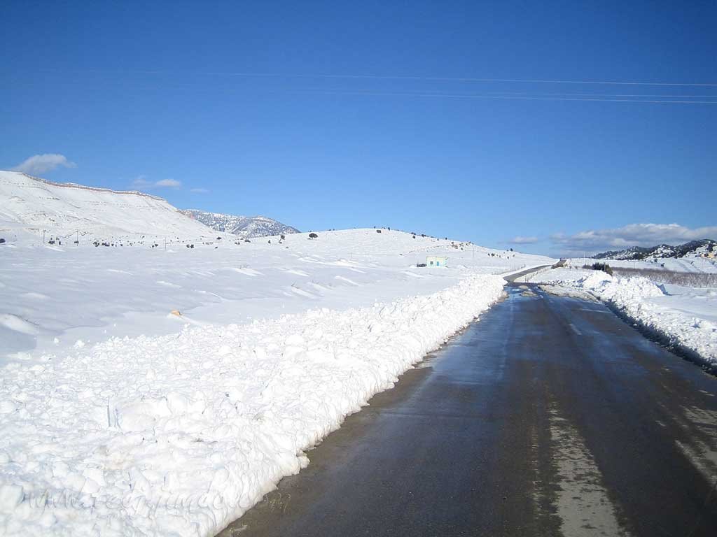 La neige couvre tout à M'sara Khenchela