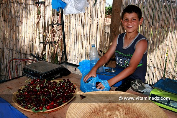 Cerisiers au Plateau de Lalla Setti, une année généreuse en cerises