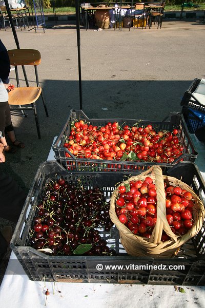Fete de la Cerise  Cerisiers au Plateau de Lalla Setti, une année généreuse en cerises