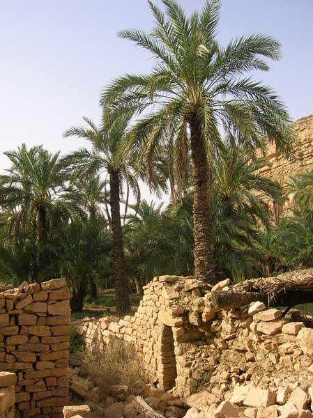 HOTEL DE CHELIA BOUHMAMA