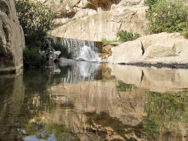 THIGHAZA M'SARA   KHENCHELA