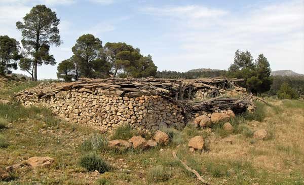 THIGHAZA M'SARA   KHENCHELA