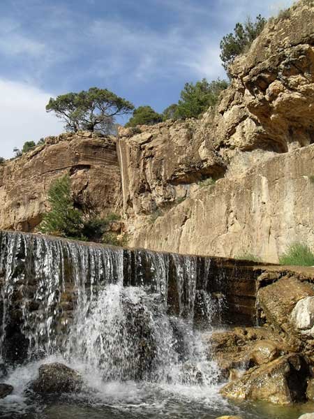 THIGHAZA M'SARA   KHENCHELA