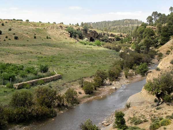 THIGHAZA M'SARA   KHENCHELA