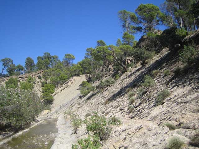 Theghazza Efarrage   M'SARA