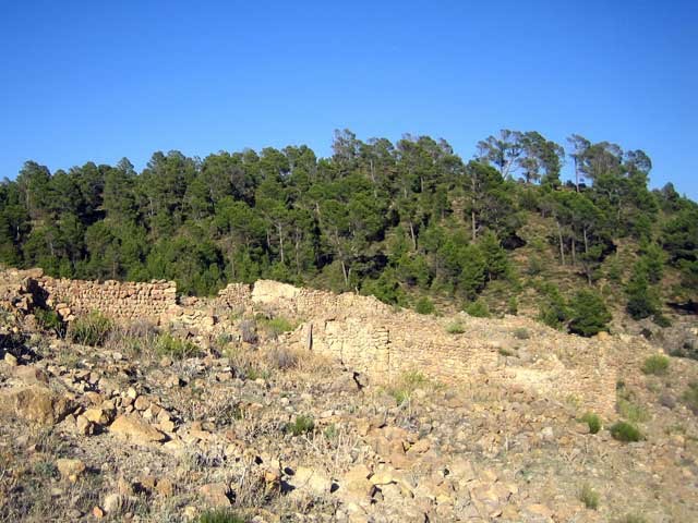 Theghazza Efarrage   M'SARA