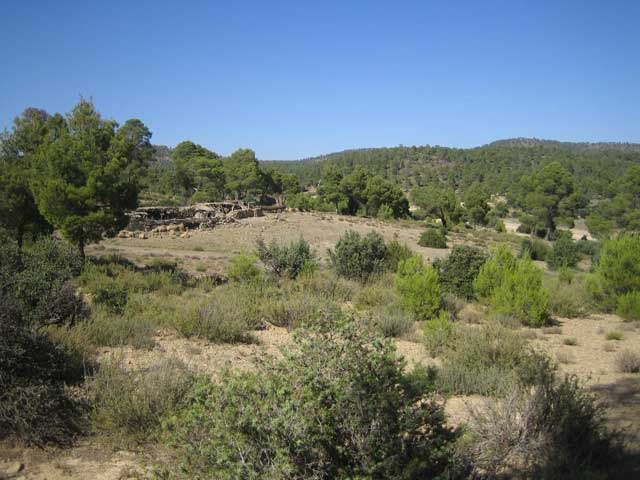 Theghazza Efarrage   M'SARA