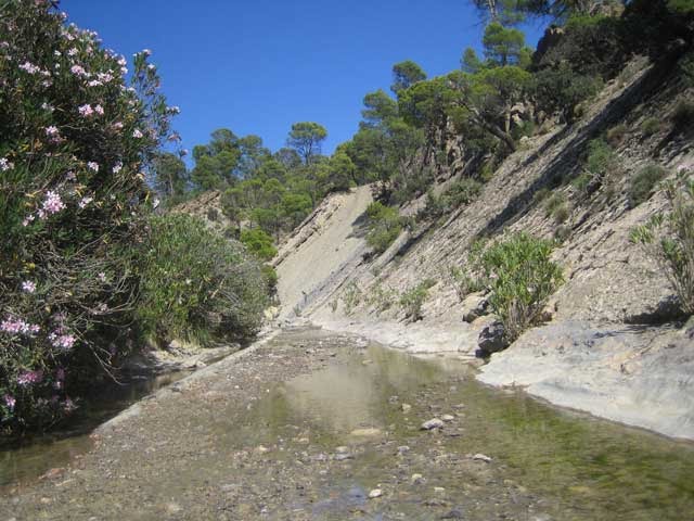 Theghazza Efarrage   M'SARA