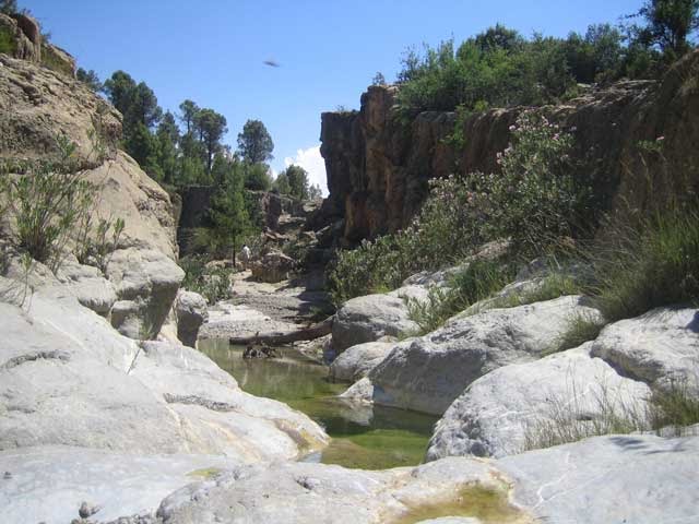 Theghazza Efarrage   M'SARA