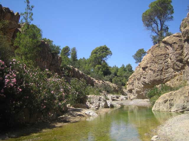 Theghazza Efarrage   M'SARA