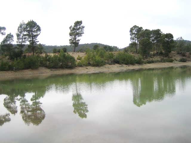 M'sara Khenchela,Algerie,tourisme,nature