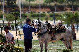 TLEMCEN - PARC D\'ATTRACTION  LALLA SETTI