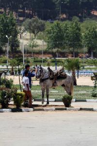 TLEMCEN - PARC D\'ATTRACTION  LALLA SETTI