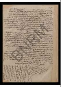 نسب سيدي محمد بن القاسم القندوسي