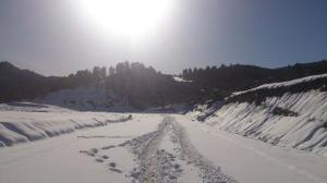 Chélia couverte de neige  Décembre 2013