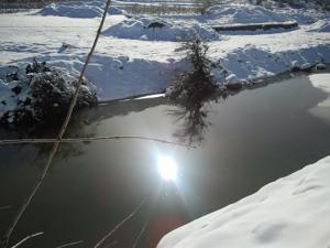 Chélia couverte de neige  Décembre 2013