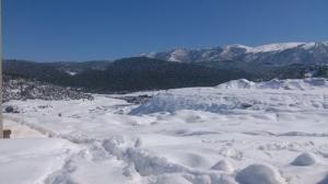 Chélia couverte de neige    Yabous Décembre 2013