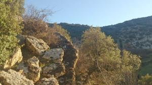 Les plus beaux endroits de Yabous