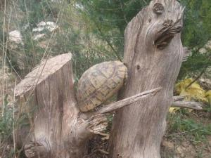 Les plus beaux endroits de Yabous