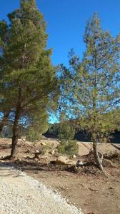 La nouvelle route Yabous Ichmoul  près de Chaabet Khaled