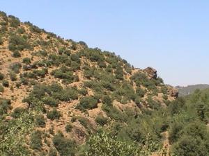 Venez découvrir les plus beaux paysages de Yabous Khenchela