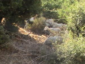 Venez découvrir les plus beaux paysages de Yabous Khenchela