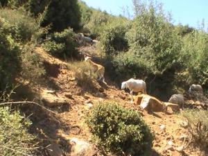 Venez découvrir les plus beaux paysages de Yabous Khenchela