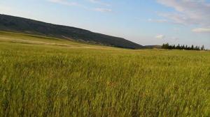 Les plus beaux endroits de Yabous