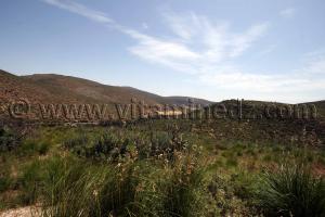 Photo Tlemcen  Remlia, route reliant Oum El 3lou à Ouchba