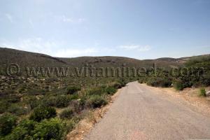 Photo Tlemcen  Route Oum El 3lou vers 3ouchba