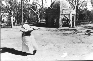 Photo Ancienne de Tlemcen  Bois de Boulogne, Lalla Mira