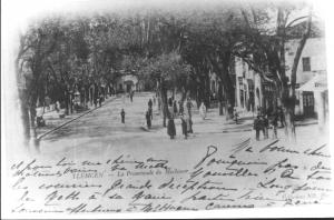 Photo Ancienne de Tlemcen  Rue de France (promenade du Mechouar)