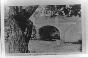 Photo Ancienne de Tlemcen  Source du Rab