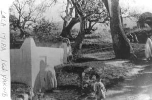 Photo Ancienne de Tlemcen  Sidi Yakoub