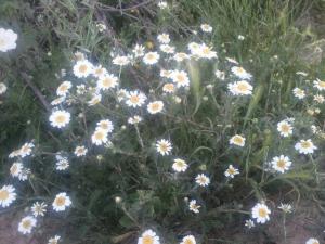 Les plus beaux endroits de Yabous