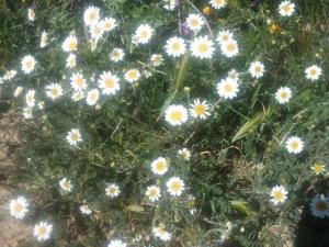 Les plus beaux endroits de Yabous